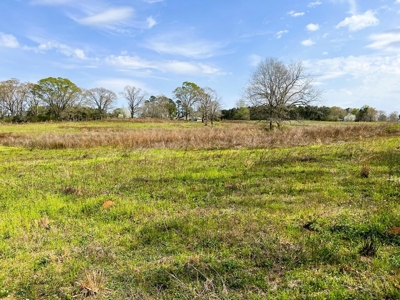 38.93 Acres Pastureland, 3 Bed/1 Bath Home for Sale SW MS - image 35