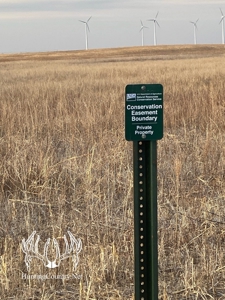 160 acres m/l Hunting Land for sale in Gray County Kansas - image 8