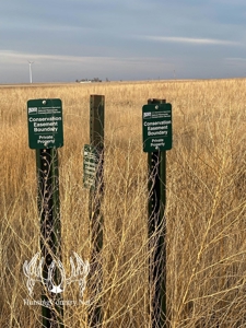 160 acres m/l Hunting Land for sale in Gray County Kansas - image 11