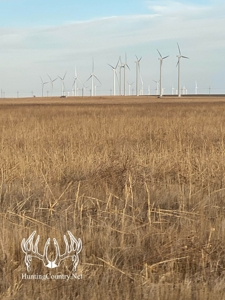160 acres m/l Hunting Land for sale in Gray County Kansas - image 5