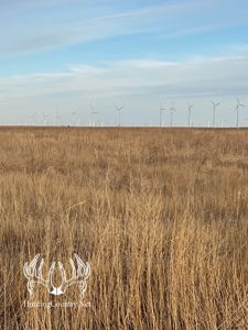 160 acres m/l Hunting Land for sale in Gray County Kansas - image 2