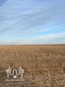 160 acres m/l Hunting Land for sale in Gray County Kansas - image 3