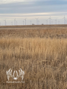 160 acres m/l Hunting Land for sale in Gray County Kansas - image 12