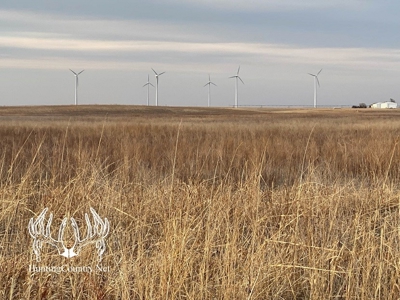 160 acres m/l Hunting Land for sale in Gray County Kansas - image 14