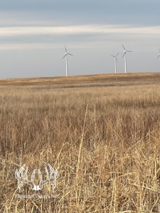 160 acres m/l Hunting Land for sale in Gray County Kansas - image 9