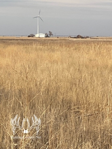 160 acres m/l Hunting Land for sale in Gray County Kansas - image 10