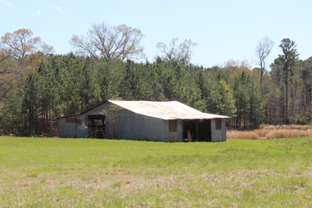 East Texas Land - Brick Home - Hunt & Fish - Almost 32 Acres - image 43
