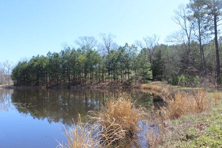 East Texas Land - Brick Home - Hunt & Fish - Almost 32 Acres - image 39