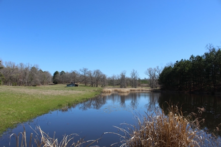 East Texas Land - Brick Home - Hunt & Fish - Almost 32 Acres - image 40