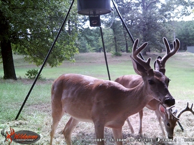 East Texas Land - Brick Home - Hunt & Fish - Almost 32 Acres - image 48