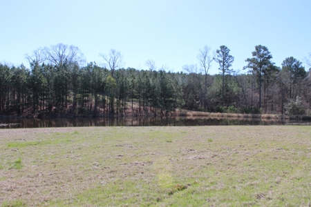 East Texas Land - Brick Home - Hunt & Fish - Almost 32 Acres - image 37