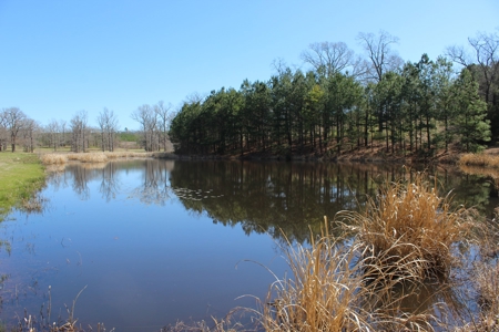 East Texas Land - Brick Home - Hunt & Fish - Almost 32 Acres - image 38