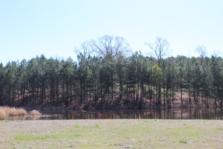 East Texas Land - Brick Home - Hunt & Fish - Almost 32 Acres - image 41