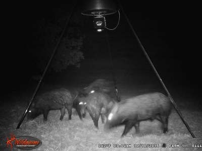 East Texas Land - Brick Home - Hunt & Fish - Almost 32 Acres - image 49