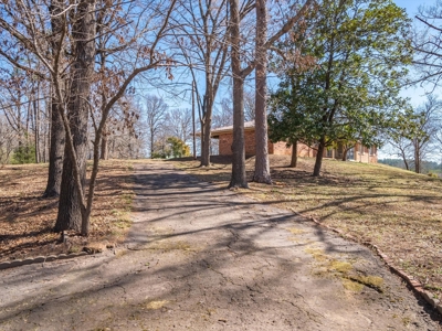 East Texas Land - Brick Home - Hunt & Fish - Almost 32 Acres - image 5