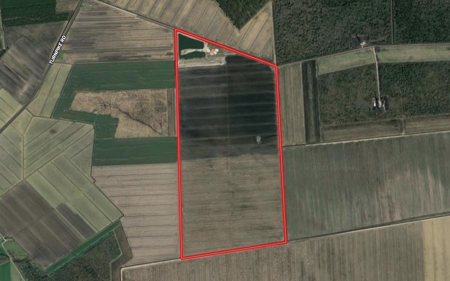 Prime Farmland For Sale Pasquotank NC - image 1