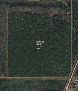 Land for Sale - 40 Acres - Polly Bell Rd, Starkville, Ms - image 7