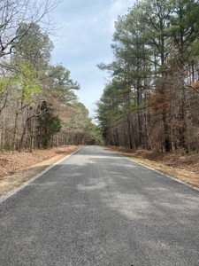 Land for Sale - 40 Acres - Polly Bell Rd, Starkville, Ms - image 1