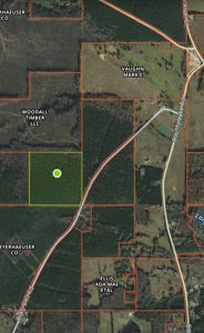 Land for Sale - 40 Acres - Polly Bell Rd, Starkville, Ms - image 8