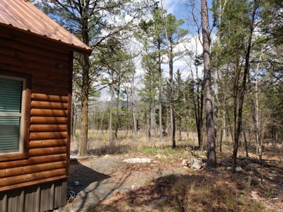 Income Producing Recreational Cabin – National Forest Area - image 8