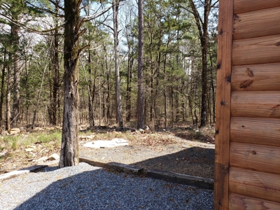 Income Producing Recreational Cabin – National Forest Area - image 6