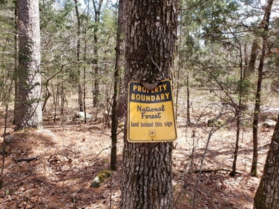 Income Producing Recreational Cabin – National Forest Area - image 10