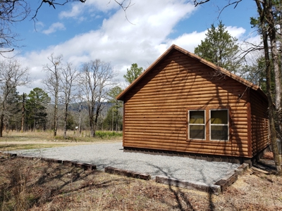 Income Producing Recreational Cabin – National Forest Area - image 9
