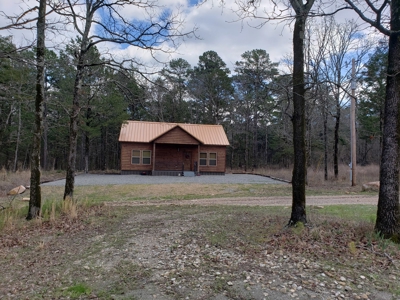 Income Producing Recreational Cabin – National Forest Area - image 15