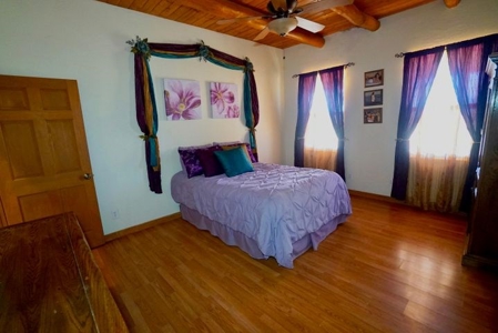 New Mexico Pueblo Style Estate with Home and Acreage! - image 20