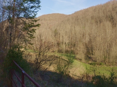 East Tennessee Mountain Retreat for Sale Scott County TN - image 7