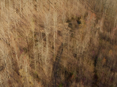 East Tennessee Mountain Retreat for Sale Scott County TN - image 32