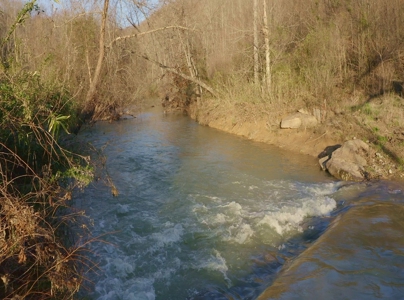 East Tennessee Mountain Retreat for Sale Scott County TN - image 22