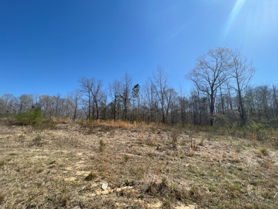 Income Producing Dirt Pit with Development Potential - image 28