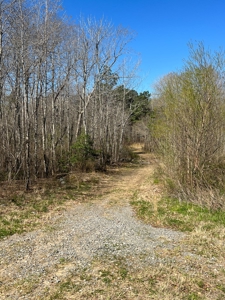 Income Producing Dirt Pit with Development Potential - image 7