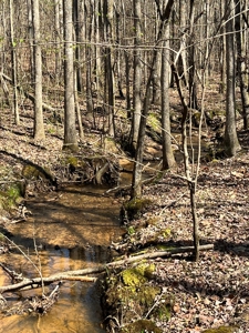 Income Producing Dirt Pit with Development Potential - image 15