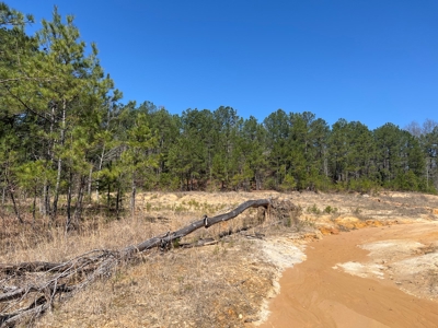 Income Producing Dirt Pit with Development Potential - image 26