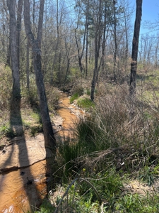 Income Producing Dirt Pit with Development Potential - image 30