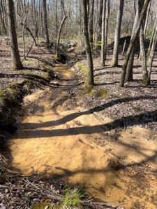 Income Producing Dirt Pit with Development Potential - image 24