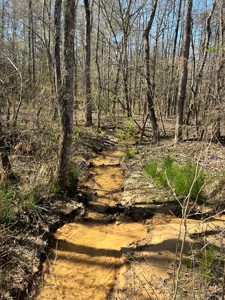 Income Producing Dirt Pit with Development Potential - image 16