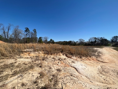 Income Producing Dirt Pit with Development Potential - image 47