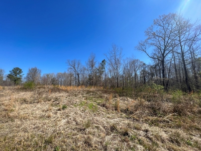 Income Producing Dirt Pit with Development Potential - image 19