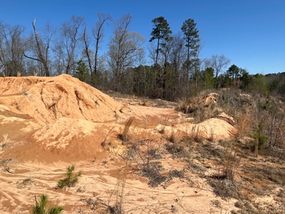 Income Producing Dirt Pit with Development Potential - image 41