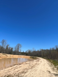 Income Producing Dirt Pit with Development Potential - image 6