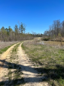 Income Producing Dirt Pit with Development Potential - image 12