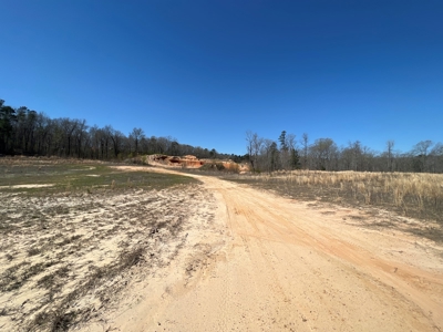 Income Producing Dirt Pit with Development Potential - image 45