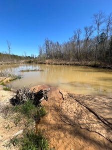 Income Producing Dirt Pit with Development Potential - image 10