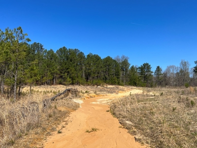 Income Producing Dirt Pit with Development Potential - image 18