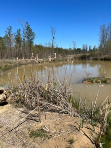 Income Producing Dirt Pit with Development Potential - image 11