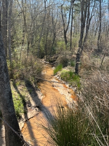 Income Producing Dirt Pit with Development Potential - image 9