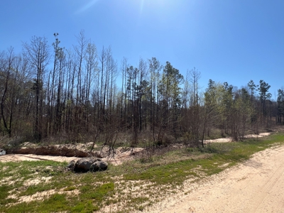 Income Producing Dirt Pit with Development Potential - image 37
